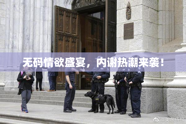 无码情欲盛宴，内谢热潮来袭！