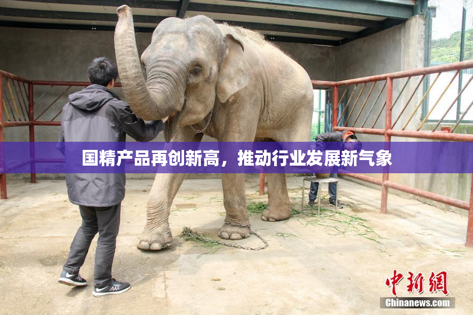 国精产品再创新高，推动行业发展新气象
