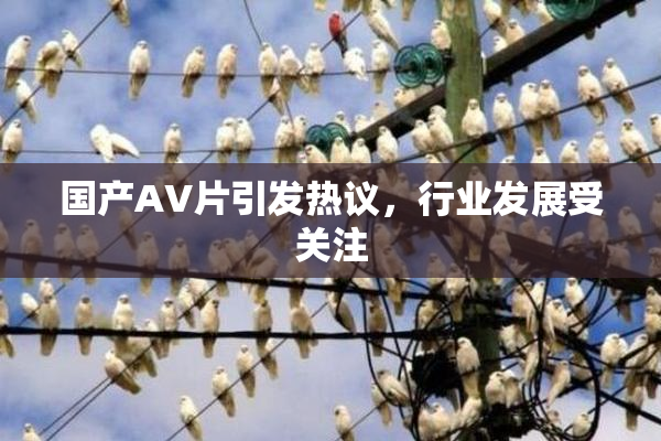 国产AV片引发热议，行业发展受关注