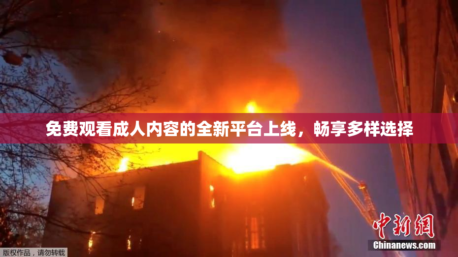 免费观看成人内容的全新平台上线，畅享多样选择