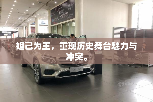 妲己为王，重现历史舞台魅力与冲突。