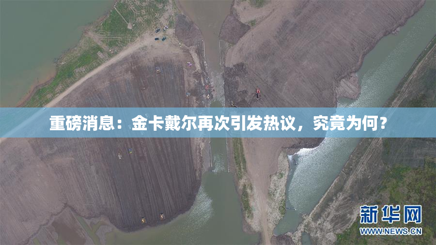 重磅消息：金卡戴尔再次引发热议，究竟为何？