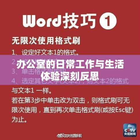 办公室的日常工作与生活体验深刻反思
