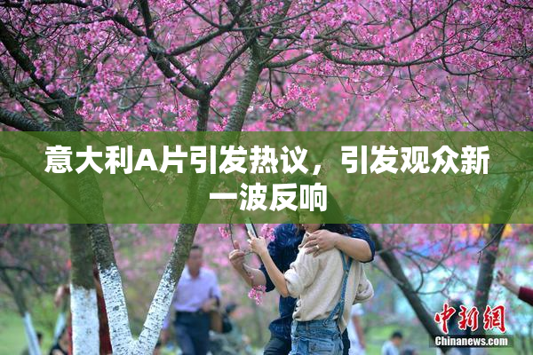 意大利A片引发热议，引发观众新一波反响