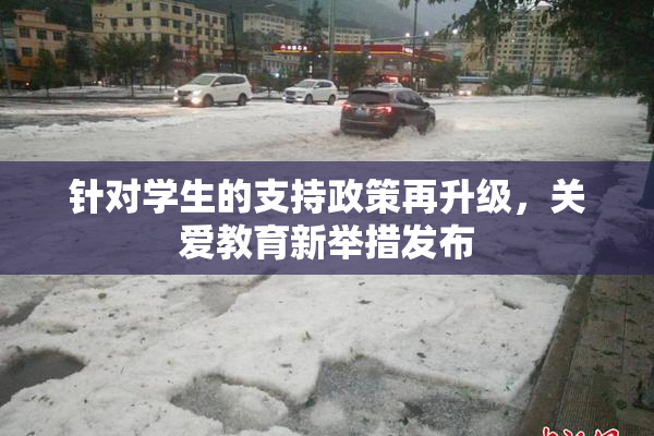 针对学生的支持政策再升级，关爱教育新举措发布