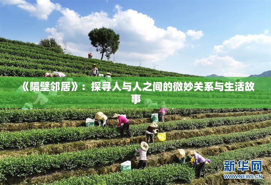 《隔壁邻居》：探寻人与人之间的微妙关系与生活故事