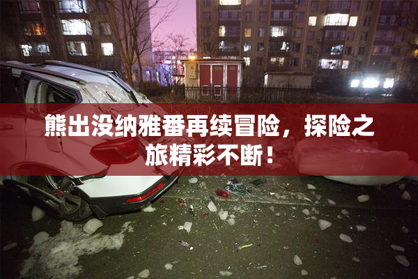 熊出没纳雅番再续冒险，探险之旅精彩不断！