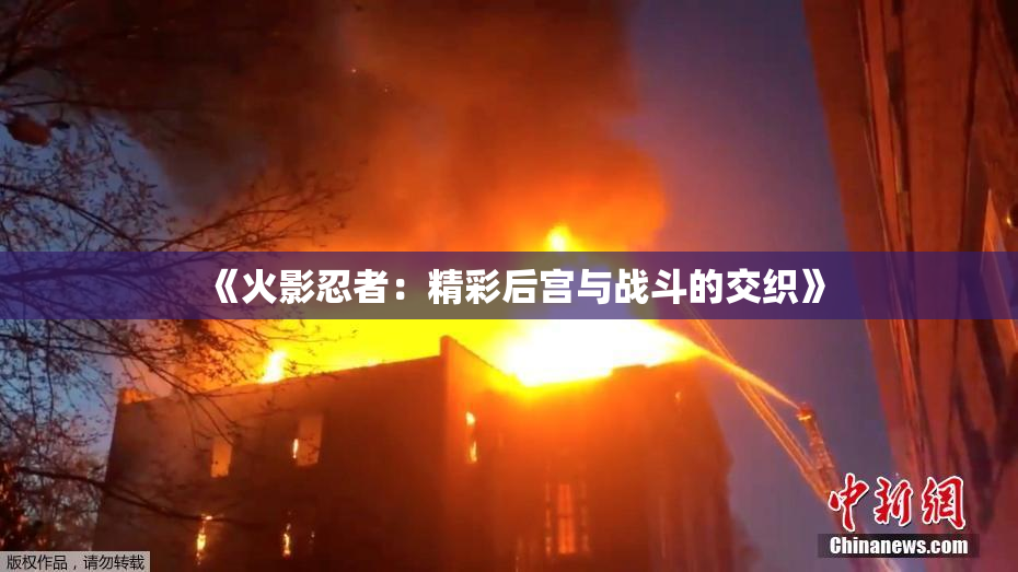 《火影忍者：精彩后宫与战斗的交织》