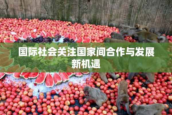 国际社会关注国家间合作与发展新机遇