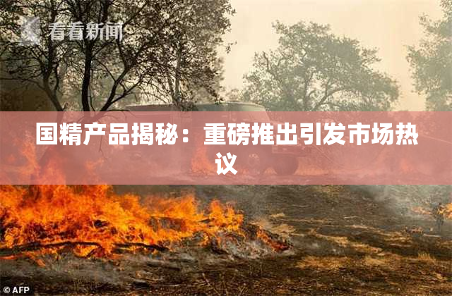 国精产品揭秘：重磅推出引发市场热议