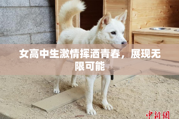 女高中生激情挥洒青春，展现无限可能