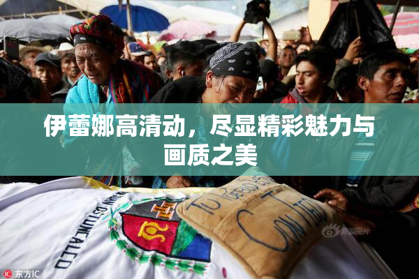 伊蕾娜高清动，尽显精彩魅力与画质之美