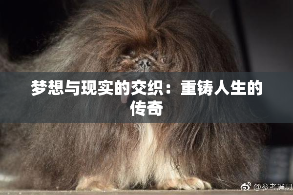 梦想与现实的交织：重铸人生的传奇