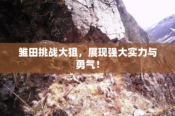 雏田挑战大狙，展现强大实力与勇气！