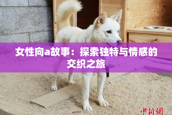 女性向a故事：探索独特与情感的交织之旅