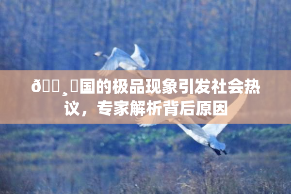 🌸‌国的极品现象引发社会热议，专家解析背后原因