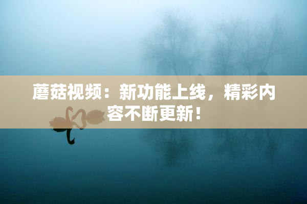 蘑菇视频：新功能上线，精彩内容不断更新！