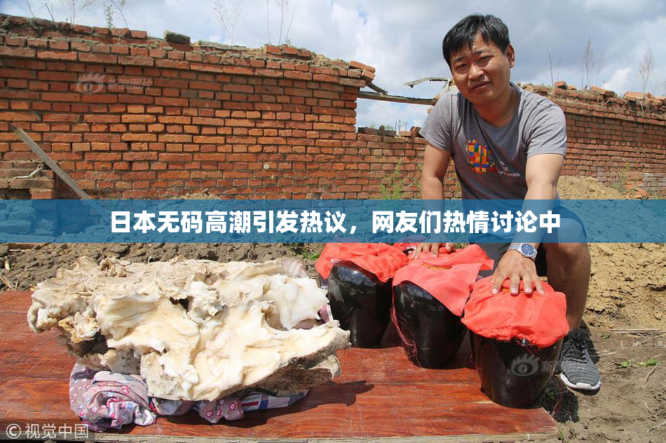日本无码高潮引发热议，网友们热情讨论中