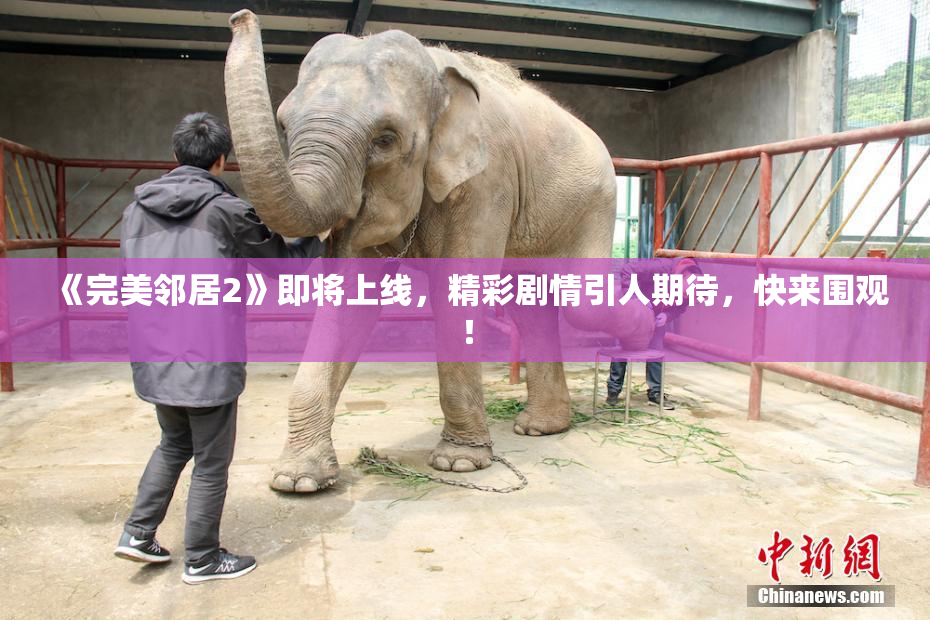 《完美邻居2》即将上线，精彩剧情引人期待，快来围观！