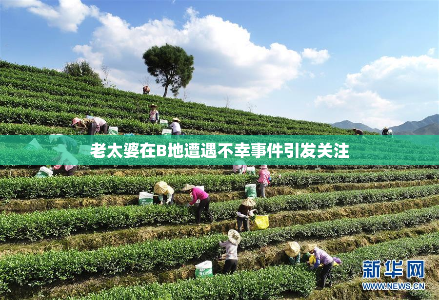 老太婆在B地遭遇不幸事件引发关注
