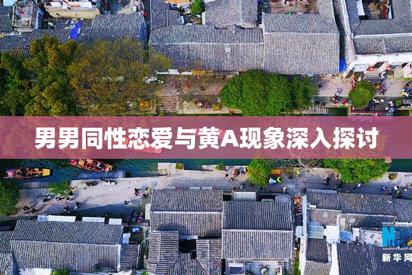 男男同性恋爱与黄A现象深入探讨