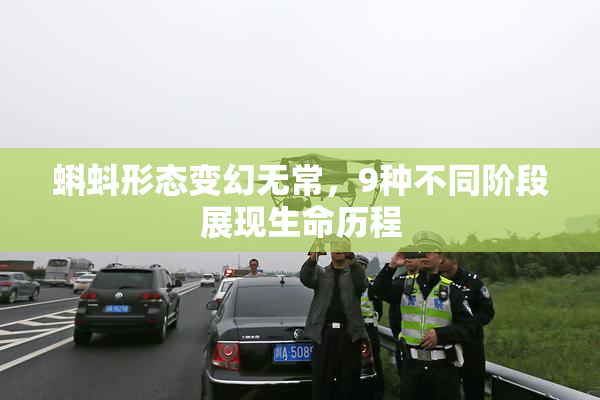 蝌蚪形态变幻无常，9种不同阶段展现生命历程
