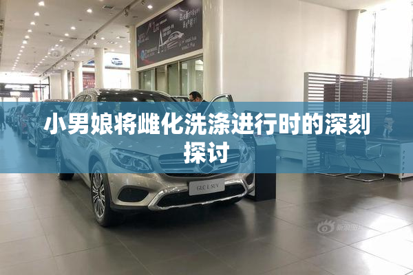 小男娘将雌化洗涤进行时的深刻探讨