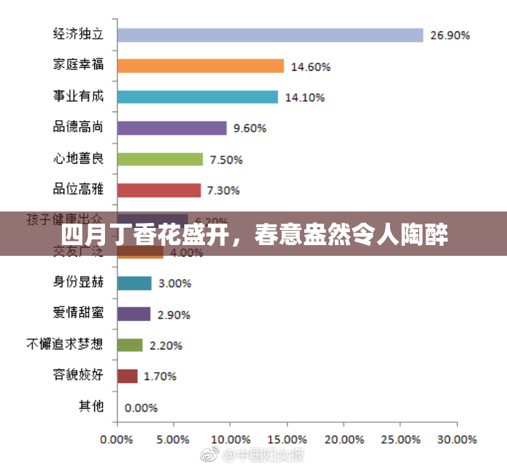 四月丁香花盛开，春意盎然令人陶醉