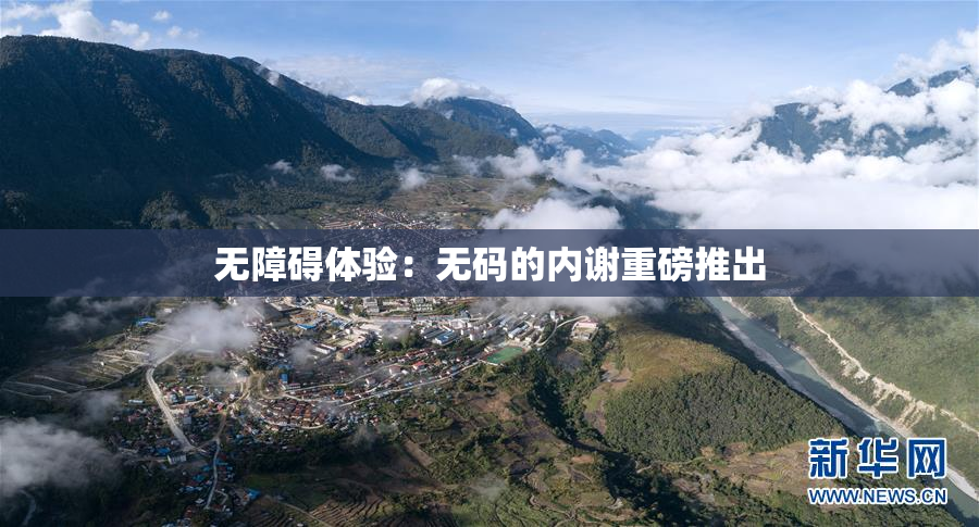 无障碍体验：无码的内谢重磅推出