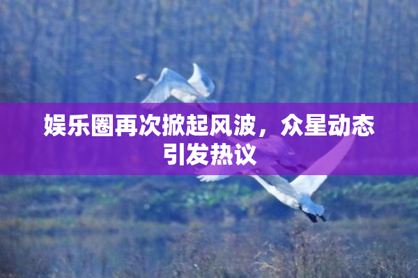娱乐圈再次掀起风波，众星动态引发热议