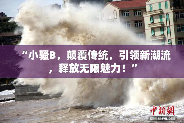 “小骚B，颠覆传统，引领新潮流，释放无限魅力！”