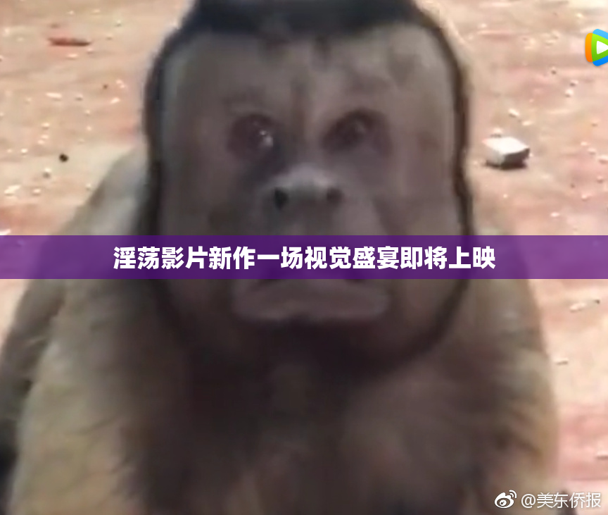 淫荡影片新作一场视觉盛宴即将上映