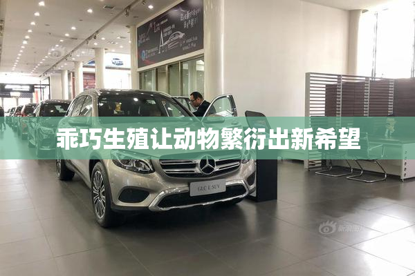 乖巧生殖让动物繁衍出新希望