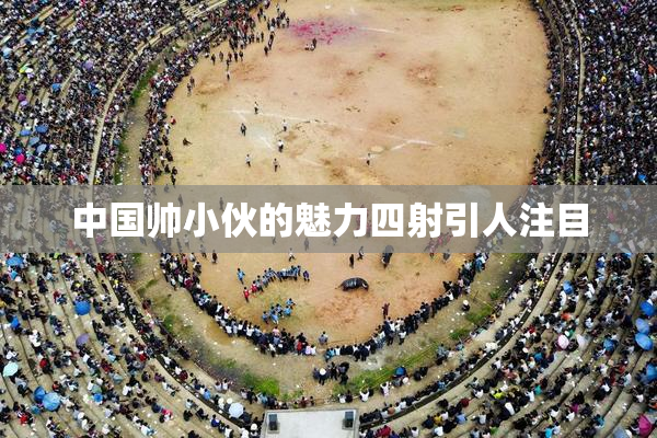 中国帅小伙的魅力四射引人注目