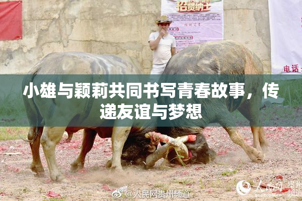 小雄与颖莉共同书写青春故事，传递友谊与梦想