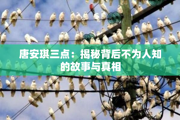 唐安琪三点：揭秘背后不为人知的故事与真相