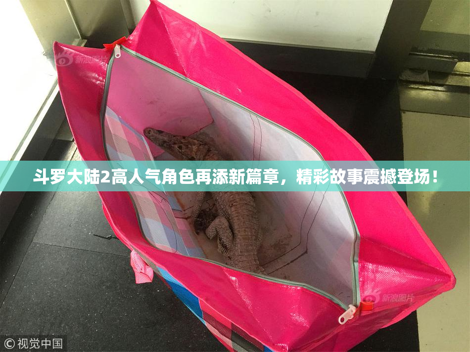 斗罗大陆2高人气角色再添新篇章，精彩故事震撼登场！