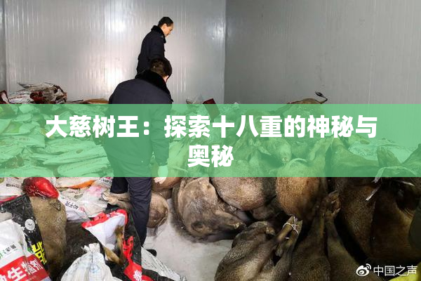 大慈树王：探索十八重的神秘与奥秘