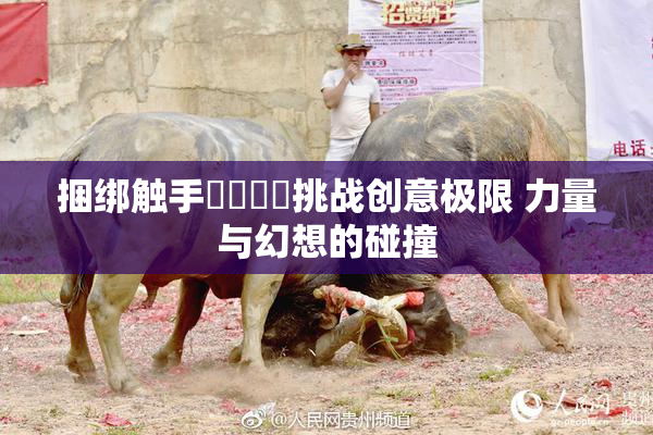 捆绑触手❌‌❌‌挑战创意极限 力量与幻想的碰撞