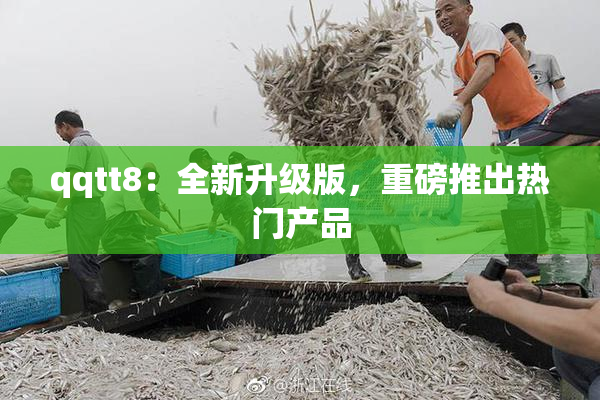 qqtt8：全新升级版，重磅推出热门产品