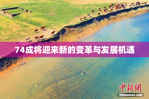 74成将迎来新的变革与发展机遇