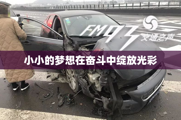 小小的梦想在奋斗中绽放光彩