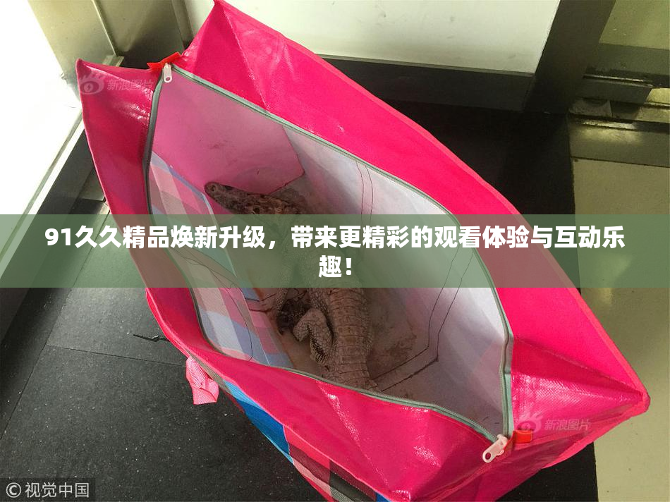 91久久精品焕新升级，带来更精彩的观看体验与互动乐趣！
