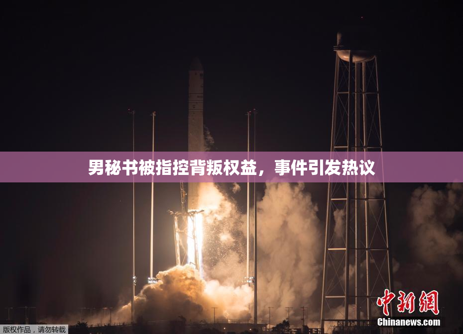 男秘书被指控背叛权益，事件引发热议