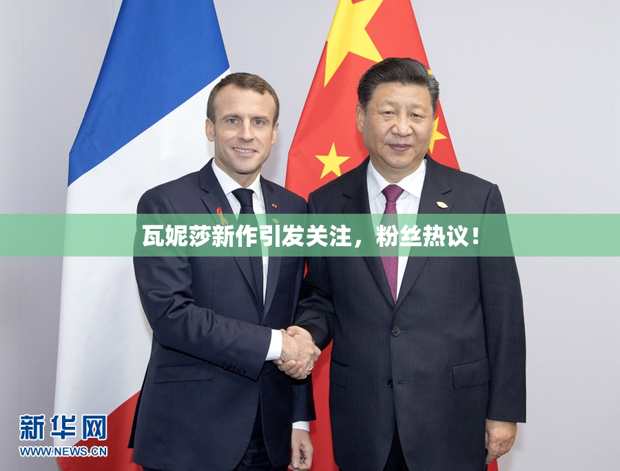 瓦妮莎新作引发关注，粉丝热议！