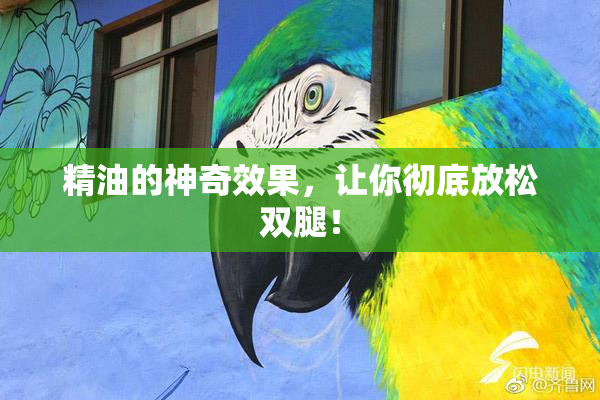 精油的神奇效果，让你彻底放松双腿！