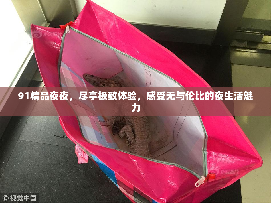 91精品夜夜，尽享极致体验，感受无与伦比的夜生活魅力