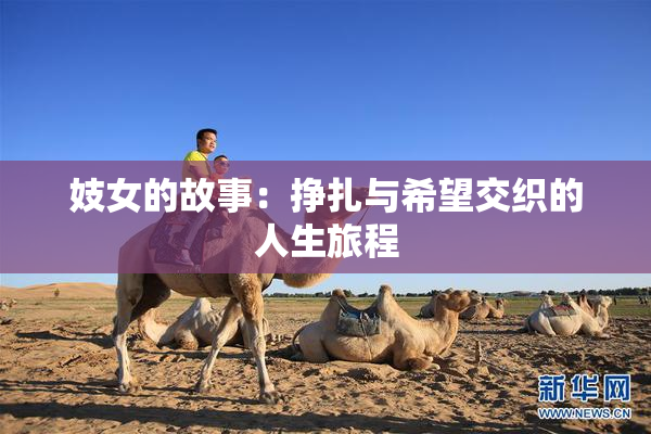 妓女的故事：挣扎与希望交织的人生旅程
