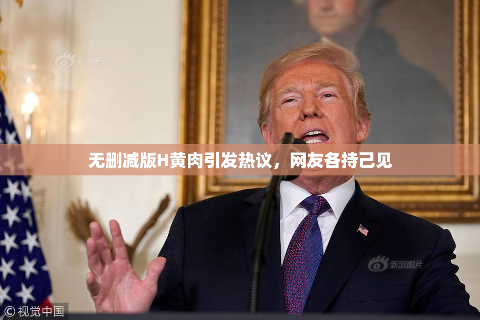 无删减版H黄肉引发热议，网友各持己见
