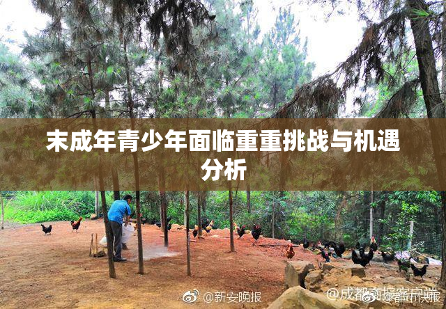 末成年青少年面临重重挑战与机遇分析